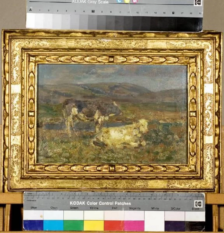 Mucca sull'alopiano di Asiago - Varese
